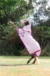Signature Ripstop Neck Combo Pink & Purple - Medium Weight